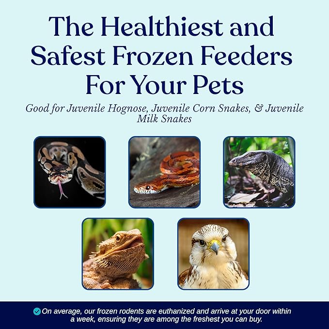 MiceDirect EST. 2003 200 Frozen Mice Fuzzie Feeders Snake Food for Juvenile Hognose Corn milks (1.25-1.5 in) (800 Grams Min)