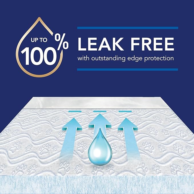 Scott Pet Guard Advanced Dog Pads - XL - 30" x 36" - 20 Pack