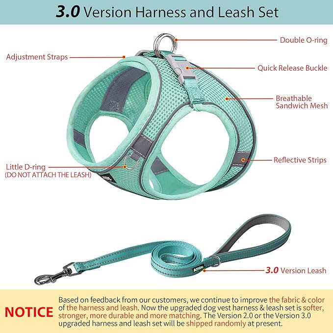 AIITLE Comfortable Dog Harness and Leash Set for Walking - Summer Step in Vest Harness,Reflective Bands, Adjustable No Pull Puppy Essentials, for Small Dogs and House Cats Pure Turquoise XS