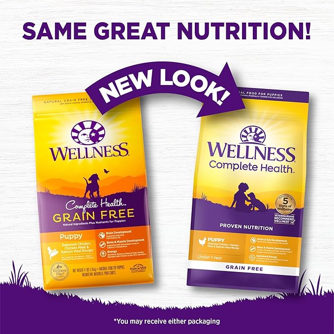 Wellness Complete Health Puppy Dry Dog Food, Grain Free, Natural, Chicken & Salmon Recipe, (22-Pound Bag)