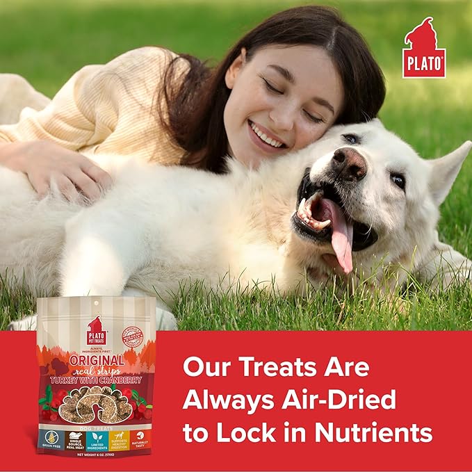 PLATO Turkey Real Strips Natural Dog Treats - Real Meat - Air Dried - Made in the USA - Turkey & Cranberry, 18 ounces