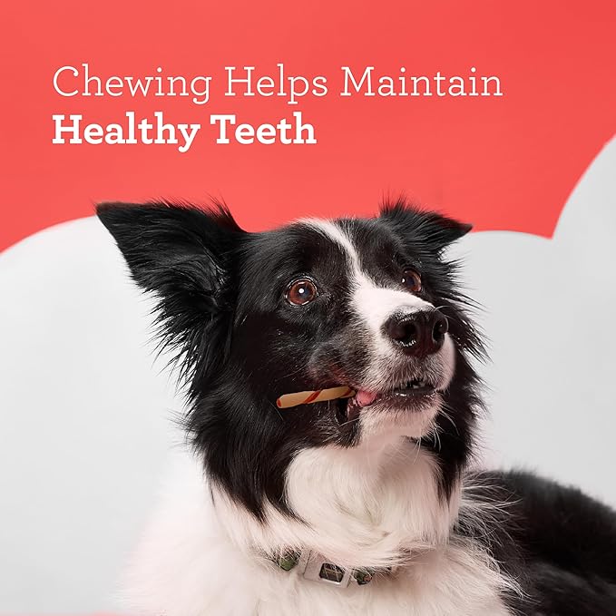 DreamBone Twist Sticks Chews for Dogs, 50 Count, Treat Your Dog to Easy-to-Digest Rawhide-Free Chews Made with Real Peanut Butter and Chicken