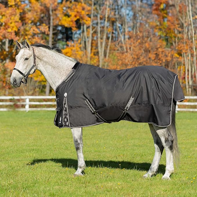 Equinavia Norse No Fill Horse Rain Blanket (0g) | Waterproof Lightweight Turnout Sheet - Black - 66 in - Black - 75 in