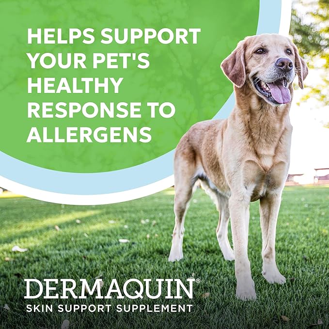 Nutramax Dermaquin Skin Support Supplement for Large Dogs, Supports Healthy Response to Allergens, with Hardy Kiwi, Omega-3s, and More, Tasty Soft Chews, 60 Count
