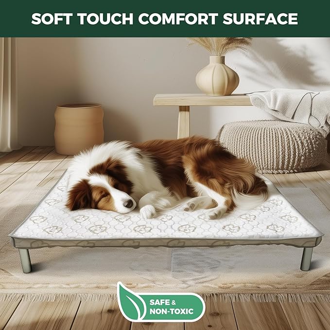 FXW TitanNest Chew-Proof Elevated Dog Bed, Raised Cot for Indoor/Outdoor/Camping Use, Durable & Waterproof Cooling Pet Bed with Exclusive Cover for Small Dogs, 36.0" L x 24.0" W x 4.5" H, Black