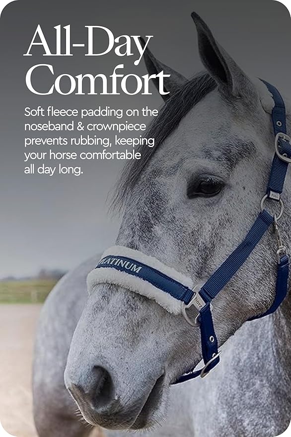 HORZE Howard Soft Fleece Padded Adjustable Polyester Horse Halter - Peacoat Dark Blue - Warmblood