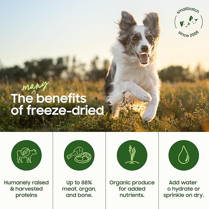 smallbatch Pets Freeze-Dried Raw Dog Food – Chicken Recipe –20 oz Small Bites – High Protein, Grain Free – Complete Meal or Topper – Made in USA with Organic Superfoods(20 Oz, Chicken)