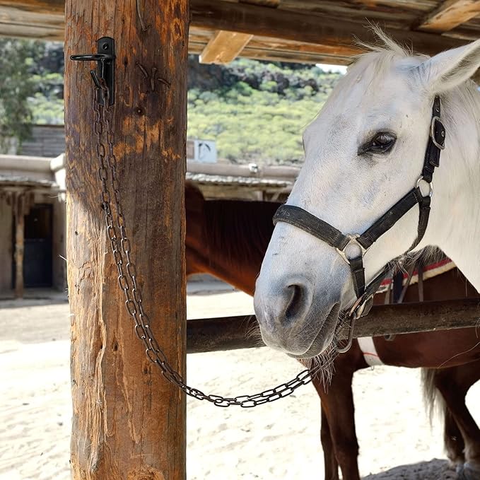 Dunzy 10 Pcs Bucket Hooks for Horses Metal Equestrian Water Bucket Hook Wall Mount Holder for Horse Stall Feed Barn Farmhouse Supplies(Black)