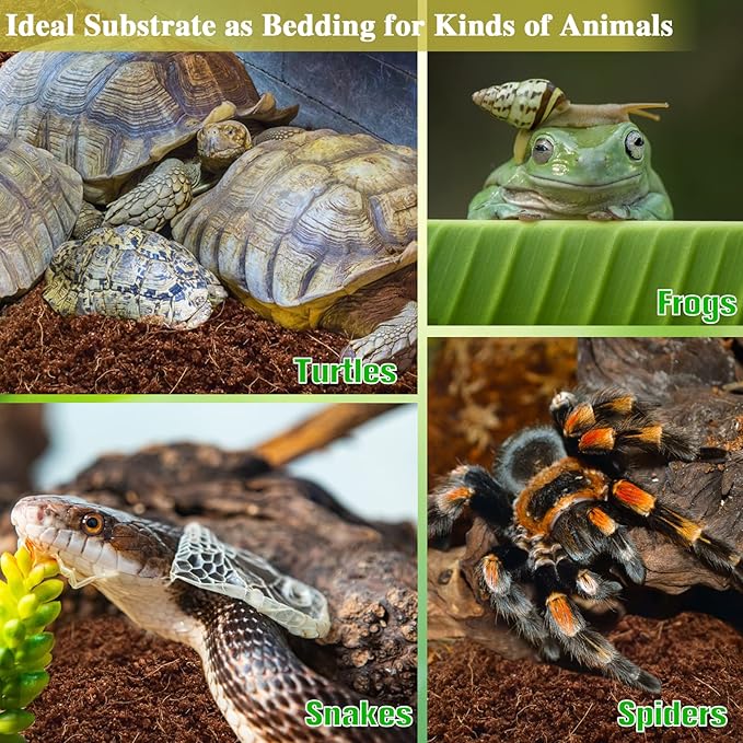 ZeeDix 2 Pack Coconut Fiber Substrate, 100% Organic Coconut Husk Coco Coir Brick Terrarium Bedding for Reptiles, Tortoise, Bearded Dragon, Leopard Gecko, Snake, Hermit Crabs, Frogs, Tarantula