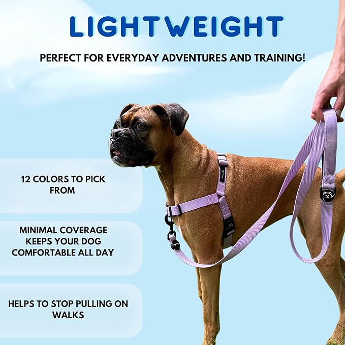 ShawnCo Dream Walk No-Pull Dog Harness- Adjustable, Comfortable, Easy to Use Pet Halter to Help Stop Pulling for Small, Medium and Large Dogs- Art Pattern Designs (Montana Daydream, M)