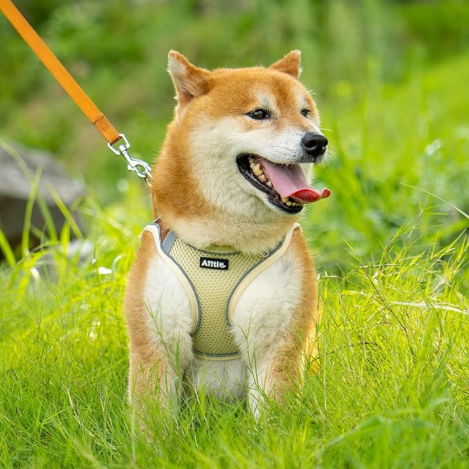 AIITLE Dog Harness, Summer No-Pull Cat Harness with a Leash, Adjustable Reflective Dog Vest, Cat Harness Escape Proof, Outdoor Walking, Camping for Extra Small Dogs and House Cats Beige XXXS