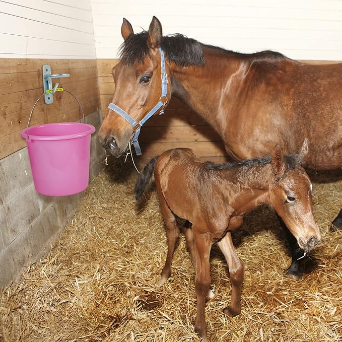 Dunzy 10 Pcs Bucket Hooks for Horses Metal Equestrian Water Bucket Hook Wall Mount Holder for Horse Stall Feed Barn Farmhouse Supplies(Silver)