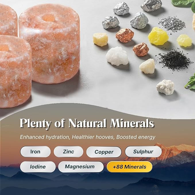 RESISTANCE Himalayan Salt Lick 2lb Block on Rope for Horses, Cattle, Deer, Goats, and Livestock – Pack of 4 Blocks