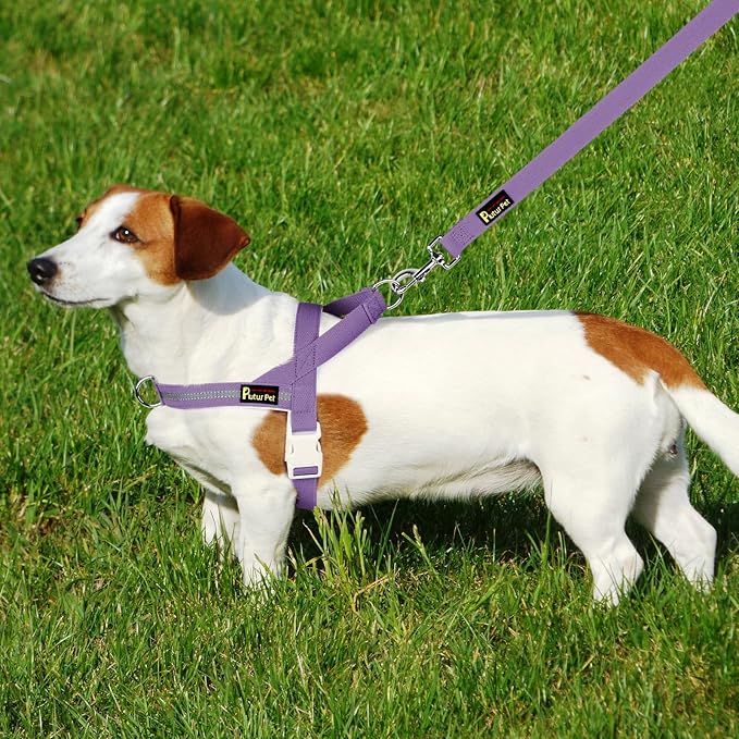 Plutus Pet Cotton Dog Harness and Leash Set, Reflective and Soft Padded, Quick Fit Vest Harness, for Small, Medium and Large Dogs, Medium Purple, XS