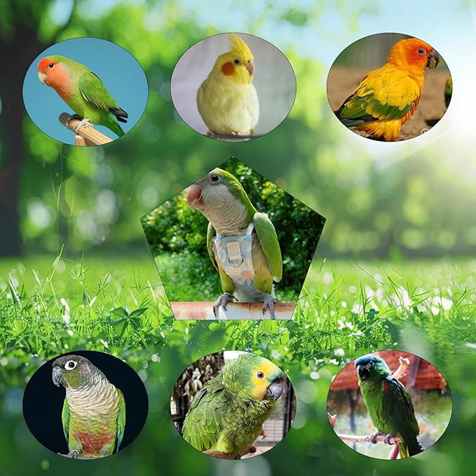 Snap-Closure Parrot Diapers with Adjustable Leash - Washable Bird Flight Suits for Cockatiels, Sun Conures & Quaker Parrots Secure & Chew-Resistant (S – Peachfaced Lovebird + 1m Rope)