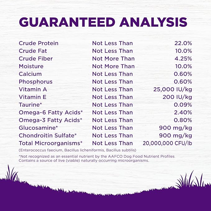 Wellness Complete Health Senior Dry Dog Food with Grains, Natural Ingredients, Made in USA with Real Meat, All Breeds (Chicken & Barley, 30-Pound Bag)