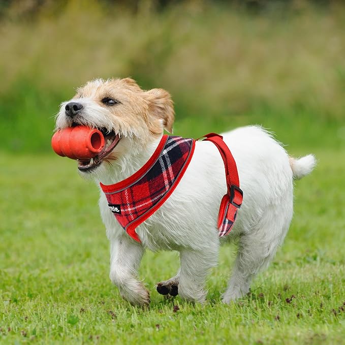 AIITLE Christmas Breathable Dog Harness for Small Dogs, Comfortable Adjustable Plaid Mesh Vest with Quick-Release Buckle, Reflective Safety Strips – Perfect for Poodles, Teddy Dogs (M, Red)