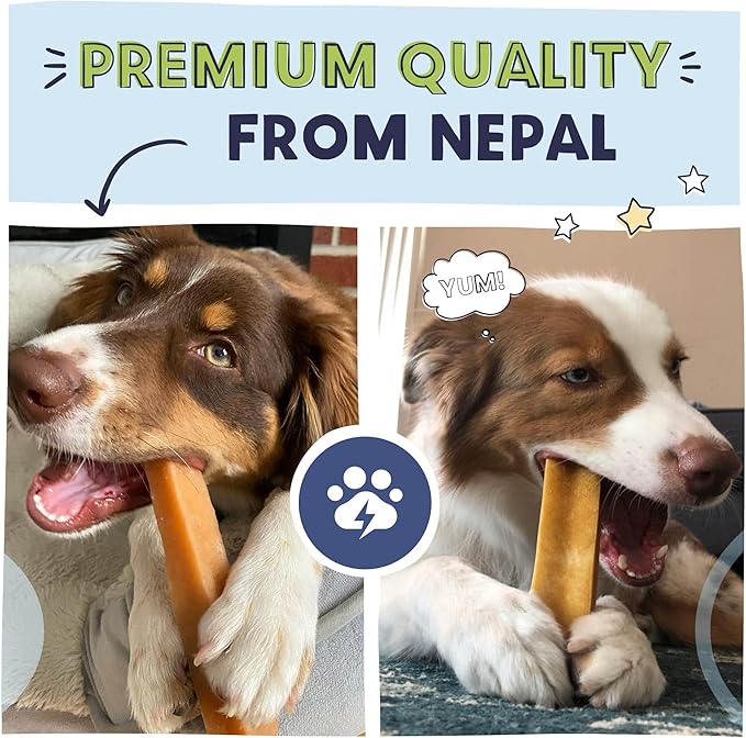 Pawstruck Large Himalayan Yak Dog Chew (6-7 oz) - Natural Yak & Cow Milk Cheese Long-Lasting Treat for Dog Chew Stick - 1 Count - Packaging May Vary (Pack of 2)