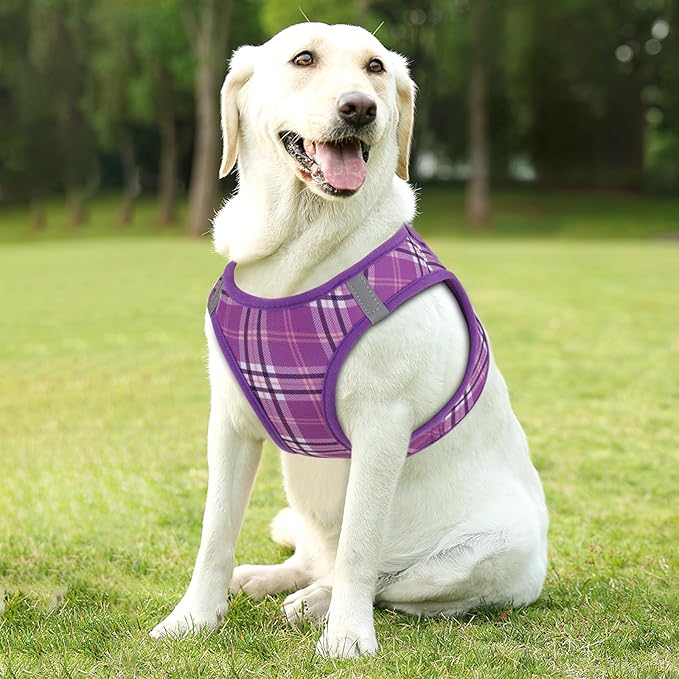 Athena Collection Step-in Dog Harness with 5 ft Leash, Medium Dog Harness Leash Set Large No Pull Dog Vest Harness with Reflective Strips Adjustable Velcro, Easy Walk Dog Harness, Purple