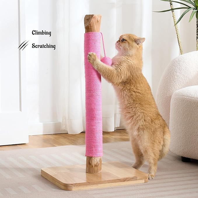 29" Tall Cat Scratching Post with Sisal Scratcher, Extra-Stable & Natural Solid Rubber Wood Base, Hanging Ball Toy for Indoor Cats Adults & Kittens, Pink