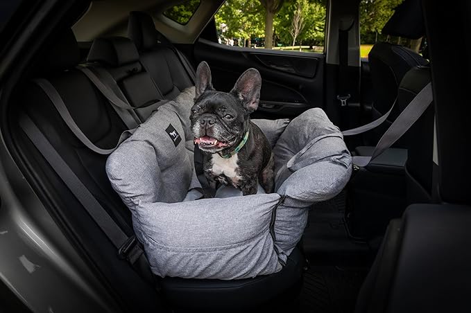 JACKO & CO - Premium Dog Car Seat v2 Booster Seat for Small & Medium Pets Under 40lbs - Machine Washable w Removable Covers, Water Resistant w Clip-On Leash for Back Seat Use (Grey/Medium (25-40lbs)