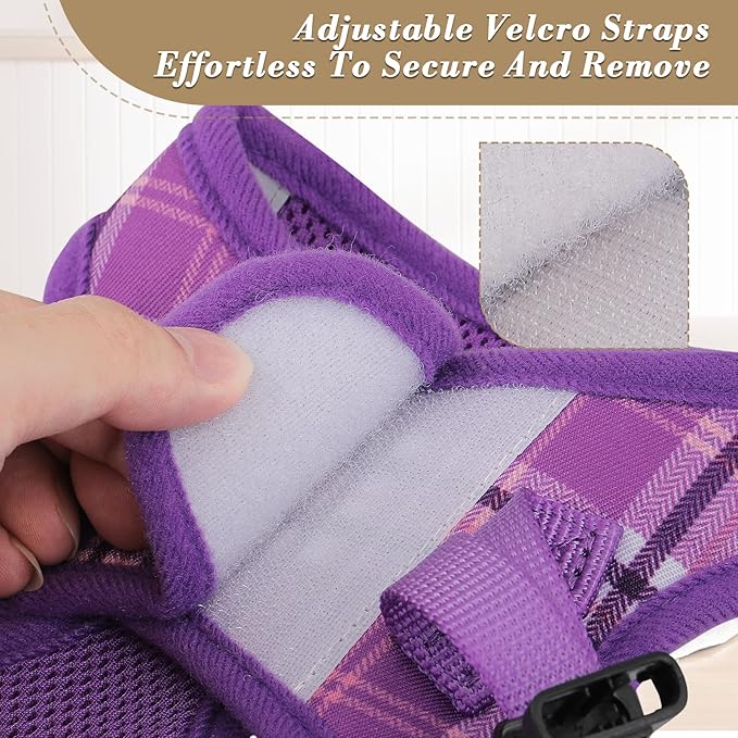 Athena Collection Small Dog Harness with 5 ft Leash, Step-in Dog Harness Leash Set Small No Pull Dog Vest Harness with Reflective Strips Adjustable Velcro, Easy Walk Puppy Harness, Purple