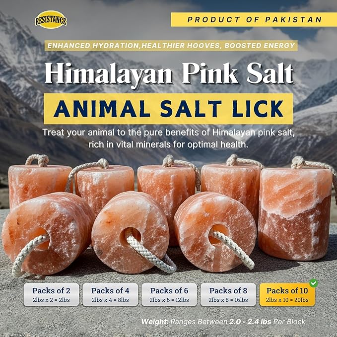 RESISTANCE Himalayan Salt Lick 2lb Block on Rope for Horses, Cattle, Deer, Goats, and Livestock – Pack of 10 Blocks