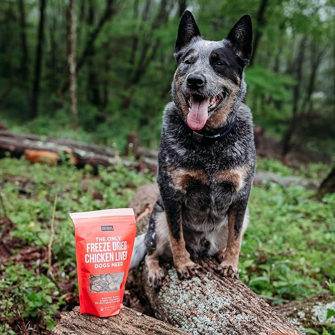 Natural Rapport Chicken Liver Dog Treats - The Only Freeze Dried Chicken Liver Dogs Need - Grain-Free Chicken Bites, Dog Treats for Small and Large Dogs (4 oz.)