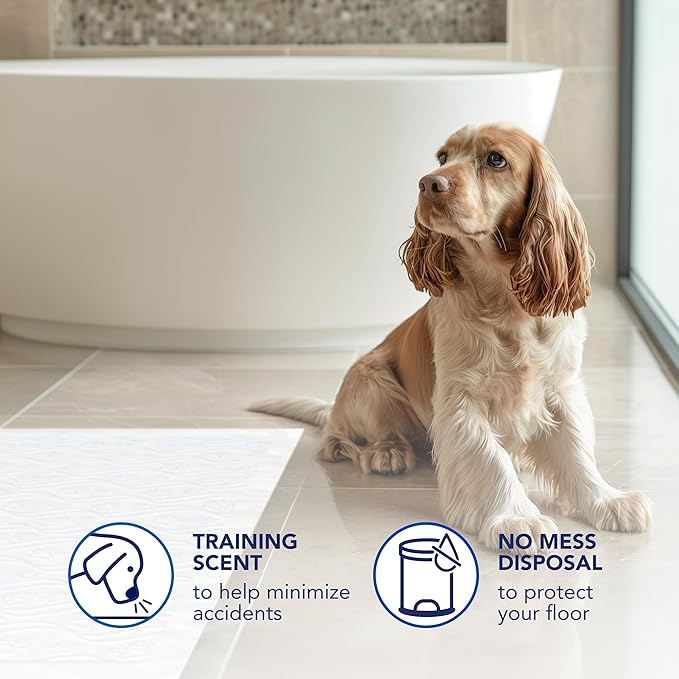 Scott Pet Guard Dog Pads - Size XL - 30" x 36" - 40 Pack of Pet Pads