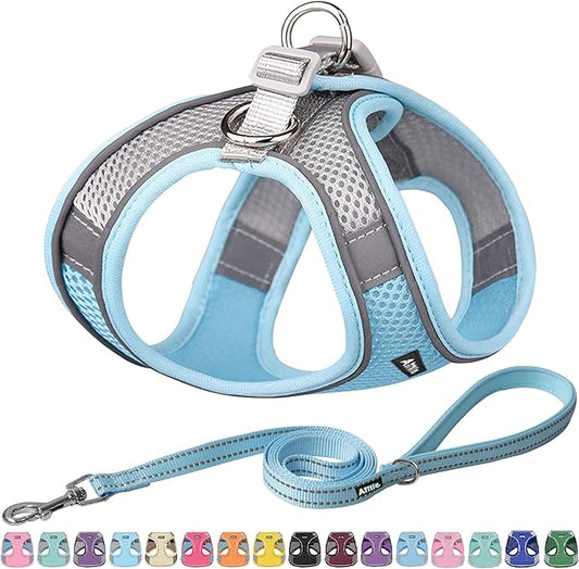 AIITLE Comfortable Dog Harness and Leash Set for Walking - Summer Step in Vest Harness,Reflective Bands, Adjustable No Pull Puppy Essentials, for Small Dogs and House Cats Blue XS