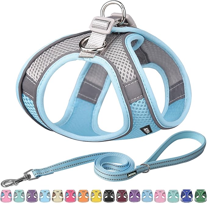 AIITLE Escape Proof Dog Harness - Step in Adjustable Dog Harness No Choke Over with Breathable Mesh and Quick-Release Buckle for Summer- Outdoor Walking, Camping, Training for Medium Dogs Blue XL