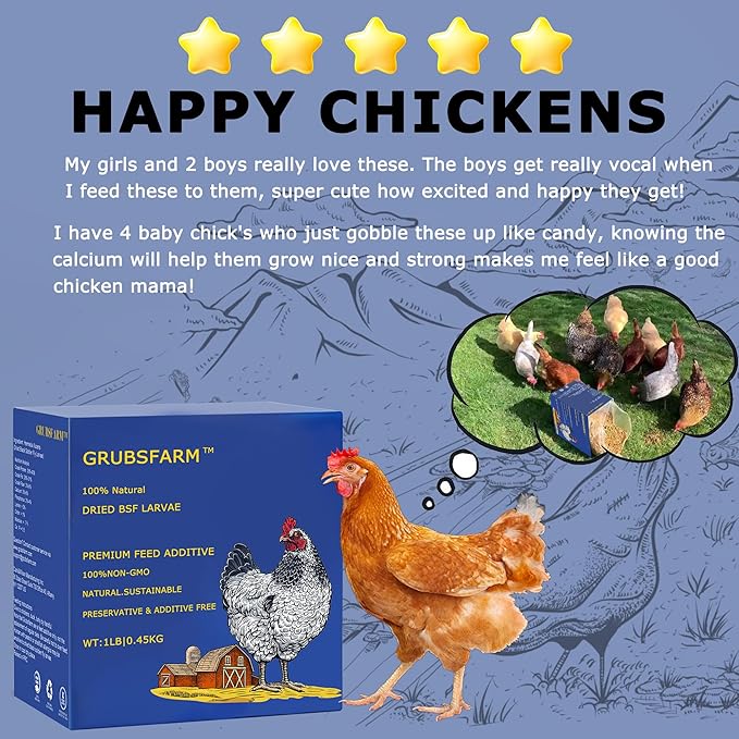 Premium Chicken Treats 1LB - Non-GMO & 85X More Calcium Than Meal Worms - Molting & Laying Supplement - BSF Larvae Treats for Layer Hens, Ducks Wild Birds