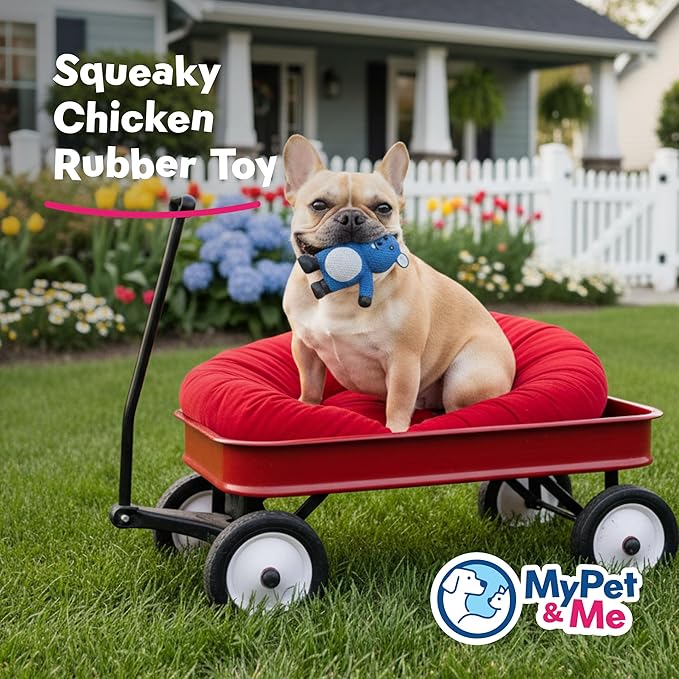 My Pet & Me - Squeaky Dog Toys for Light to Moderate Chewers - Fun Latex Toys for Puppies, Teething, and Gentle Play - Interactive Fetch and Chew Toy with Squeaker (Blue Mouse, 4.3 Inch)