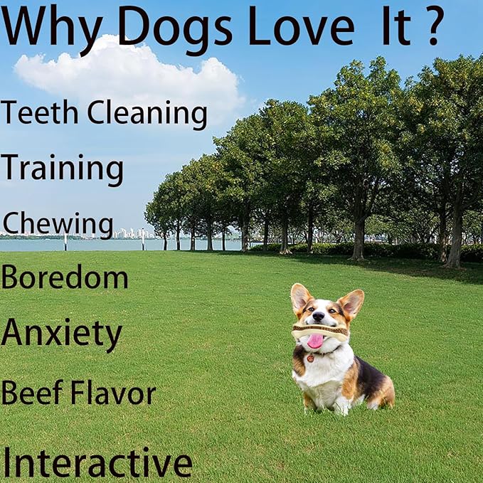 Dog Chew Toys for Aggressive Chewers, 2 Pack Real Beef Flavor,Indestructible Dog Teething Chew Toys for Large/Medium/Small Puppies Breed,Tough Pet Toy with Durable Nylon