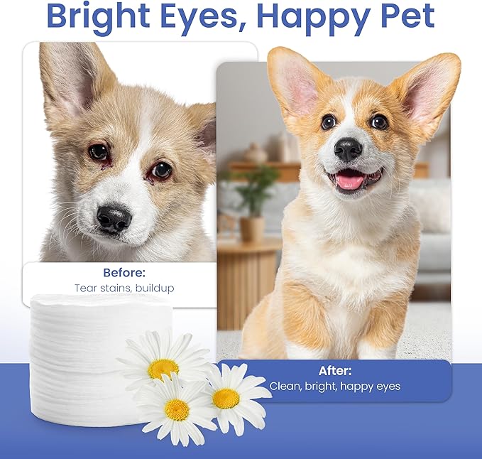 AKC Pet Eye Wipes for Dogs & Cats – Tear Stain Remover & Eye Discharge Cleaner – Hypoallergenic Grooming Wipes, 100 Count (Oatmeal Scent)