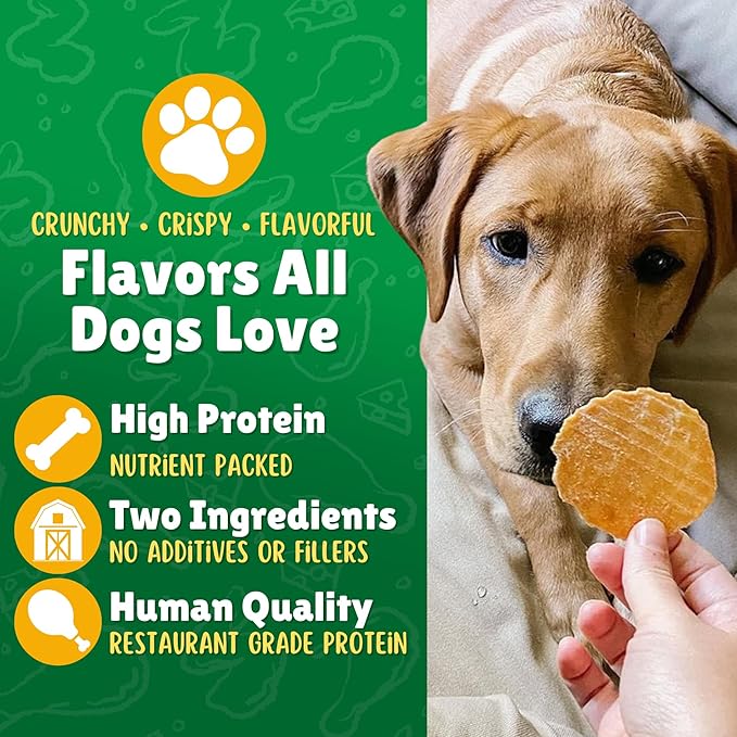 Chicken & Carrot Chips Dog Treats – Made in USA, 100% Chicken Jerky, Grain-Free, High Protein, Single Ingredient, Crispy & Healthy Training Snacks for Dogs – 6 oz Jar