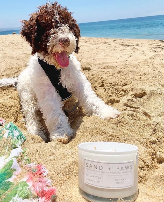 Sand + Paws Scented Candle - Ocean & Sea Salt - Additional Scents and Sizes –Luxurious Air Freshening Jar Candles Neutralize pet Odors and Enhance Home décor – 100% Cotton Lead-Free Wicks - 12 oz
