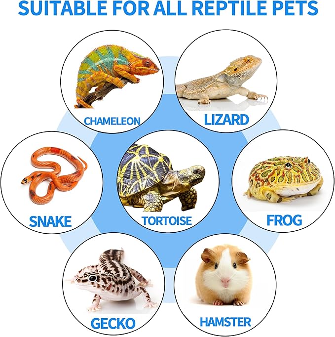 Extra Large 15.7 × 11.8" Reptile Basking Platform, Reptile Slate, Basking Rock, Slate Tiles Rocks for Reptiles,Terrarium Bowls for Bearded Dragon Tortoise Turtle Ball Python Snake Lizard Gecko