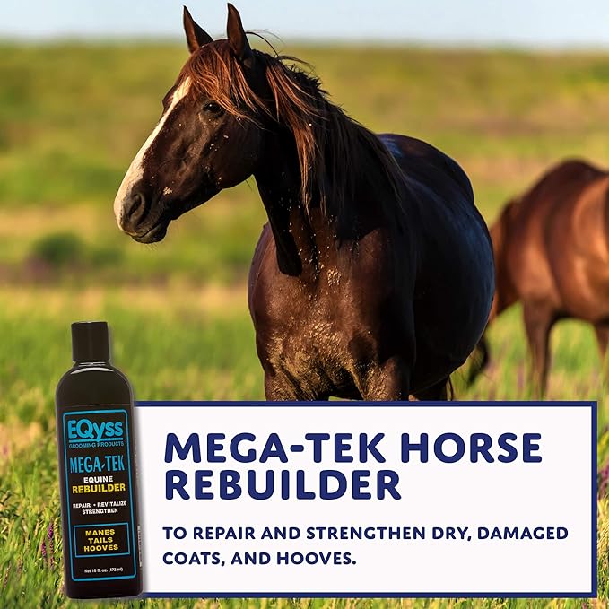 Eqyss (Pack of 3) Mega-Tek Equine Rebuilder - 16 Ounces Each