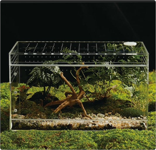 Acrylic Terrarium for Reptiles & Spiders – Small/Medium/Large Leak-Proof Enclosure (Horizontal/Vertical) | Ideal for Tarantulas, Jumping Spiders, Frogs & Geckos(Large Horizontal)