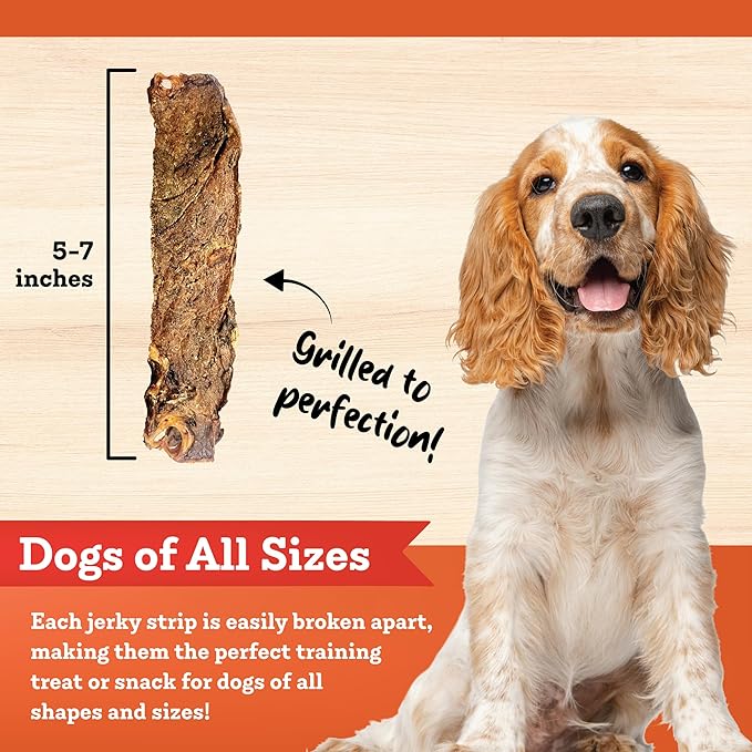 Colorado Naturals Chicken & Sweet Potato Jerky Strips Dog Treats, 16 oz – All-Natural, Made in USA, No Fillers or Preservatives – Promote Bone and Joint Health