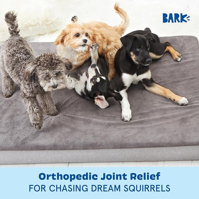 Barkbox Orthopedic Dog Bed with Memory Foam, Premium Comfort for Dogs and Puppies, Dog Bed for Joint Relief and Restful Sleep, Durable and Easy to Clean - Grey, XL