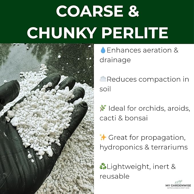 Perlite for Plants, Coarse and Chunky Horticultural Perlite, Organic Perlite for Gardening Indoor & Outdoor, Perlite Bulk Bag, Made in USA (1 Quart)