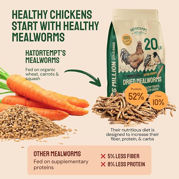 Hatortempt Dried Mealworm Bird Food - 20 Lb Bulk Pack - High Protein Poultry & Chicken Feed - Duck Food & Wild Bird Feed & Quail Treats
