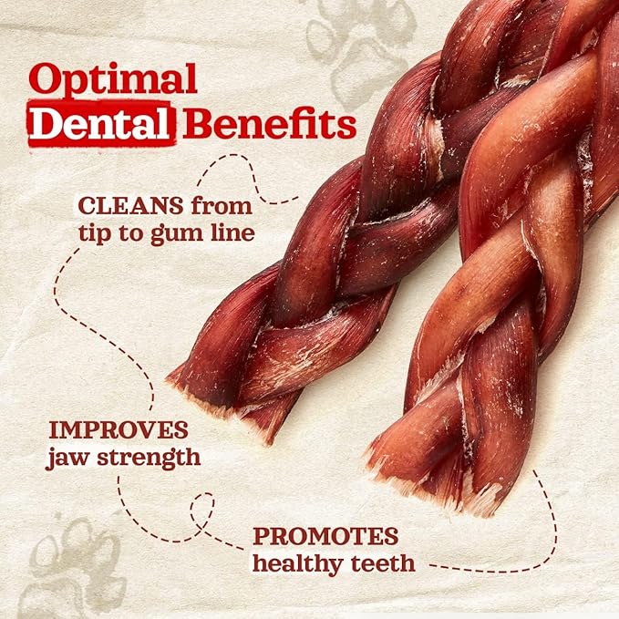 Natural Farm Odor-Free Braided Bully Sticks (4-5 Inch, 10 Pack) - 100% Grass-Fed Beef, Grain-Free, Low Fat & Fully Digestible Best Dental Treats, Safest Long Lasting Pizzle Chews to Keep Your Dog Busy