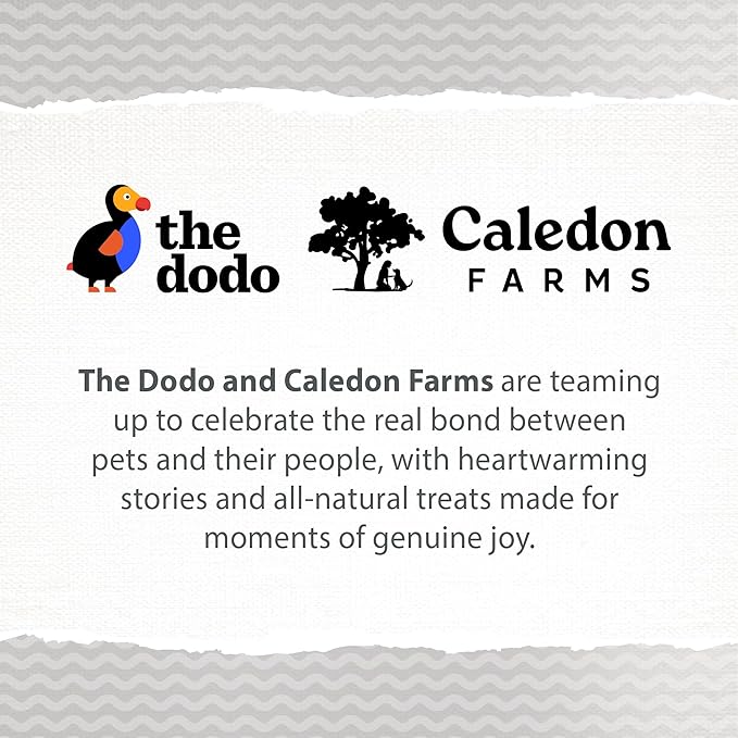 Caledon Farms The Dodo Baked Bites - Pumpkin 9.35oz, Dog Treats, Soft & Chewy
