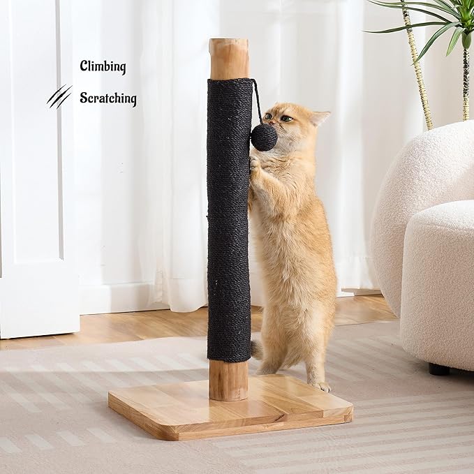 29" Tall Cat Scratching Post with Sisal Scratcher, Extra-Stable & Natural Solid Rubber Wood Base, Hanging Ball Toy for Indoor Cats Adults & Kittens, Black