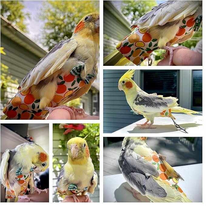 5 Pcs Bird Diapers Bird Harness Flight Suits Diapers Reusable Parrot Nappy with Waterproof Inner Layer Washable Cute Urine Wet Suit Costume for Cockatiel Conure Budgie Macaw Parakeet,M