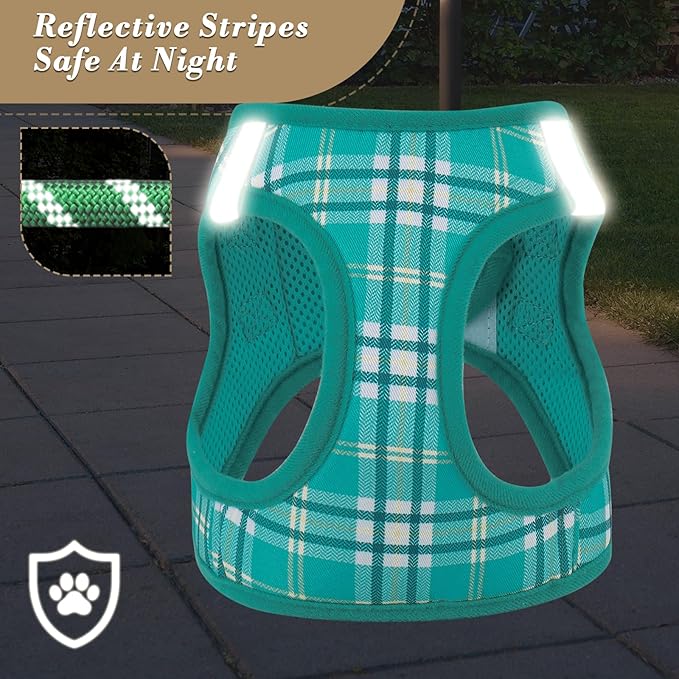Athena Collection Step-in Dog Harness with 5 ft Leash, Medium Dog Harness Leash Set Large No Pull Dog Vest Harness with Reflective Strips Adjustable Velcro, Easy Walk Dog Harness, Green