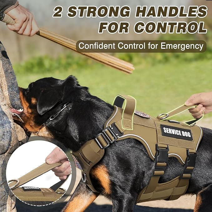 Tactical Service Dog Vest Harness and Leash Set,Heavy Duty Dog Harness with Metal Buckles for Medium Sized Dogs,Adjustable No Pull Pet Vest with Patches for Training Working Hiking,Brown M